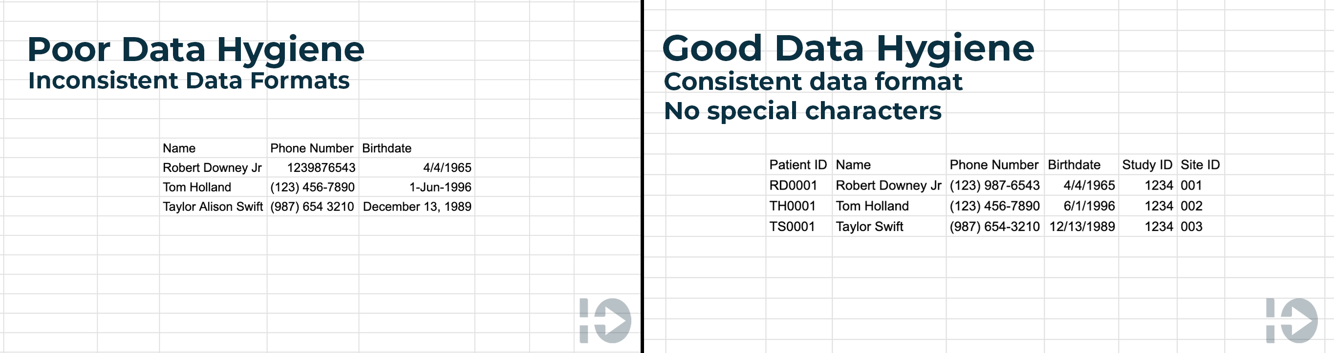 Data Hygiene image