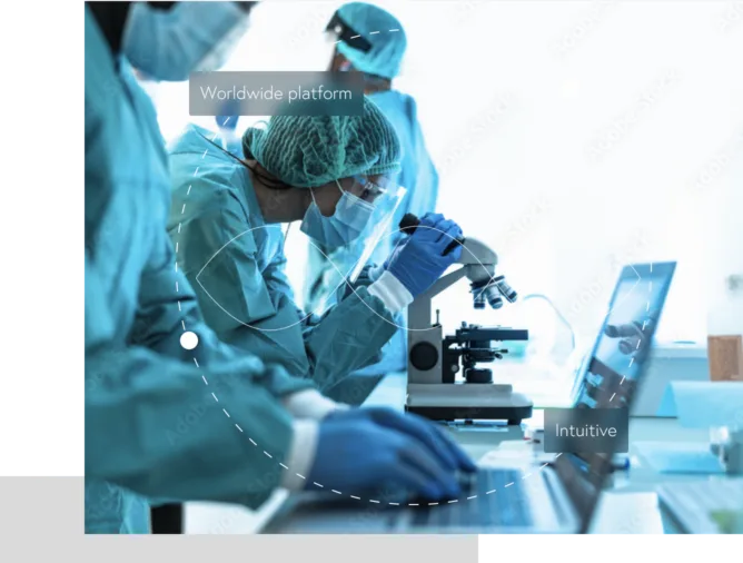 Navigating the Regulatory Landscape in Clinical Trials in 2024